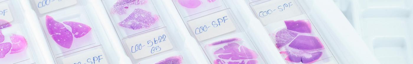 Biological Samples